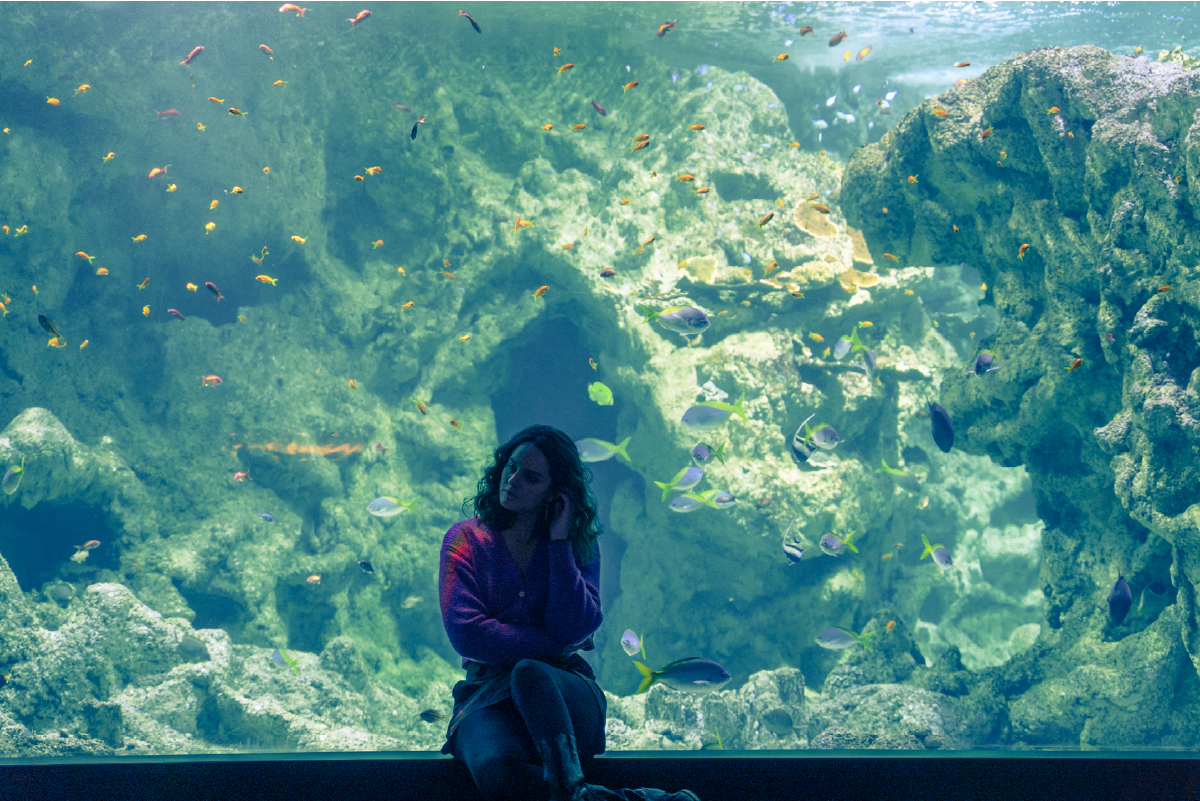 Scena suggestiva dal film L’Innocente (2022). Clémence (Noémie Merlant) è seduta davanti a un enorme acquario, circondata da pesci colorati che nuotano tra rocce e coralli. Con un’espressione riflessiva, tocca l’orecchio come se fosse immersa nei suoi pensieri. La luce soffusa dell’acquario crea un’atmosfera sognante e quasi surreale, accentuando il senso di introspezione e isolamento del personaggio.